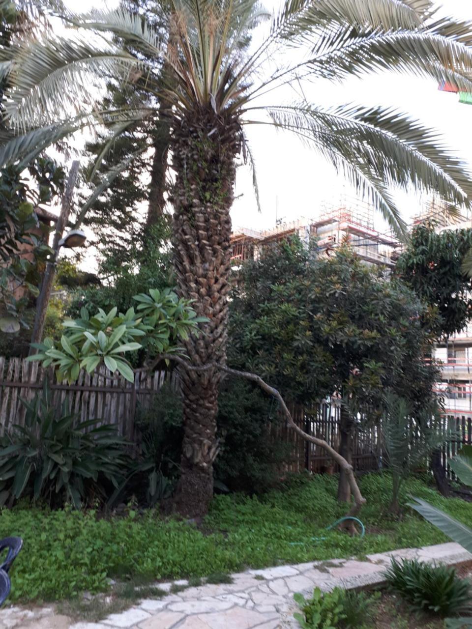 Etty'S House Hotel Petach Tikva Exterior photo