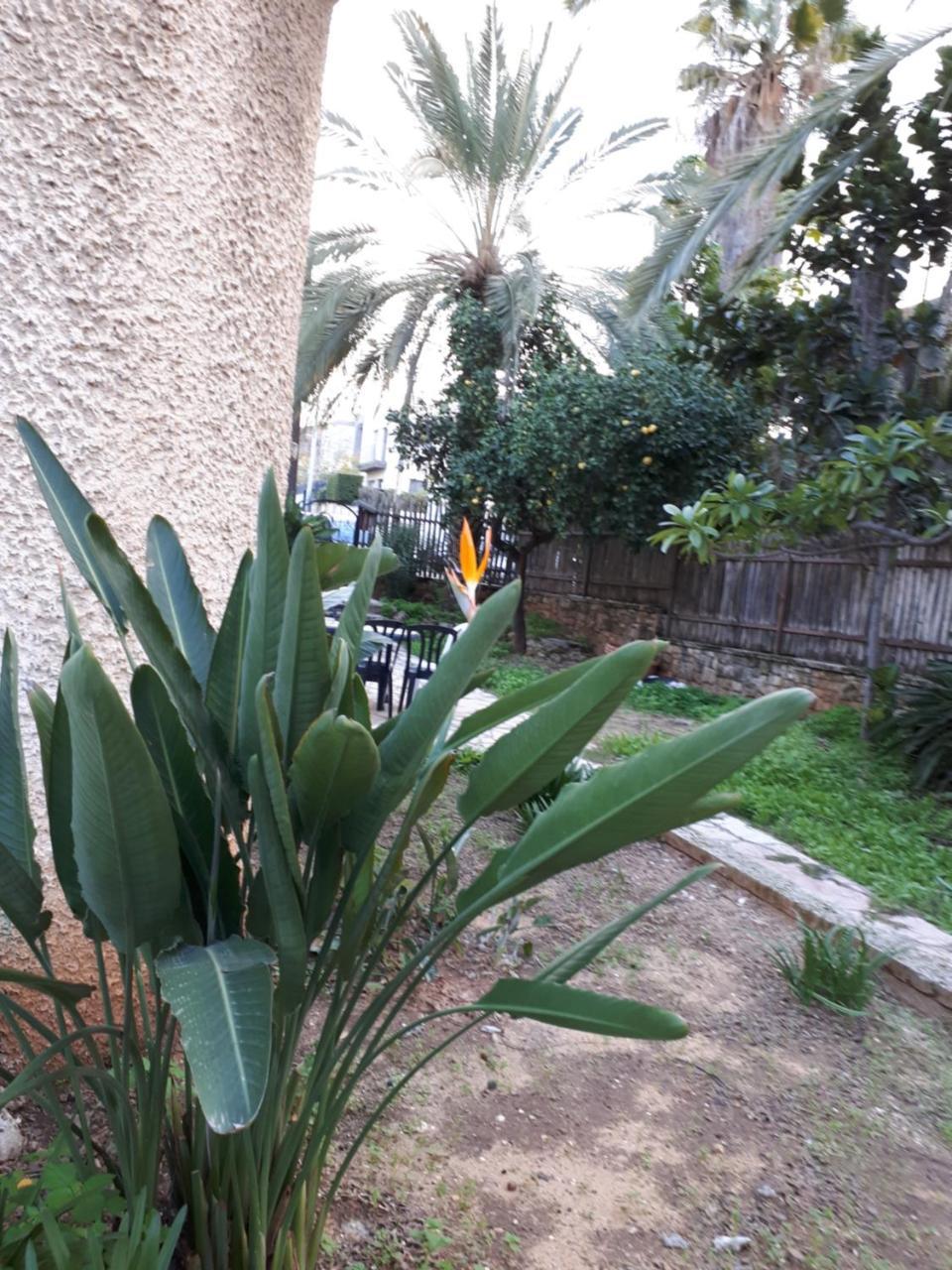 Etty'S House Hotel Petach Tikva Exterior photo